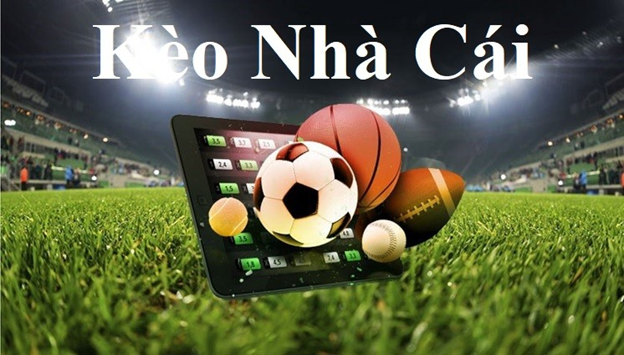 Trang Web Cược Bóng Đá Live Betting Professional Trang Web Cược Bóng Đá Live Betting Professional